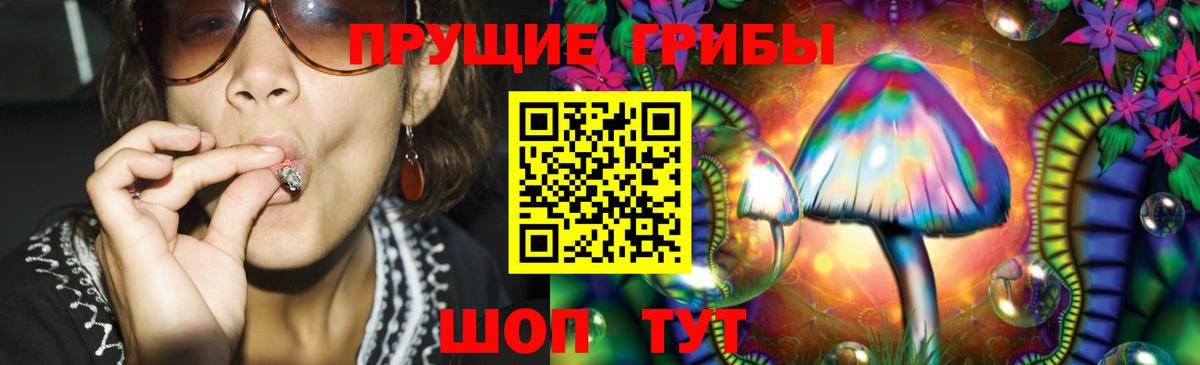 Псилоцибиновые грибы ЛСД Мичуринск